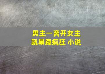 男主一离开女主就暴躁疯狂 小说